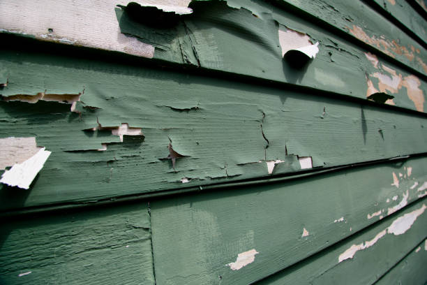 Best Residential Vinyl Siding Installation  in East Tawas, MI