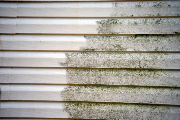 Best Siding Removal and Disposal  in East Tawas, MI