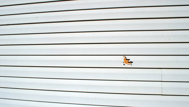 Best Steel Siding Installation  in East Tawas, MI