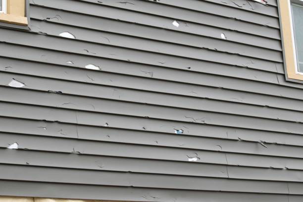 Best James Hardie Siding  in East Tawas, MI