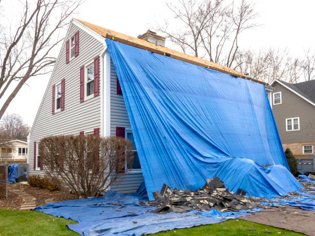 Best Insulated Siding Installation  in East Tawas, MI