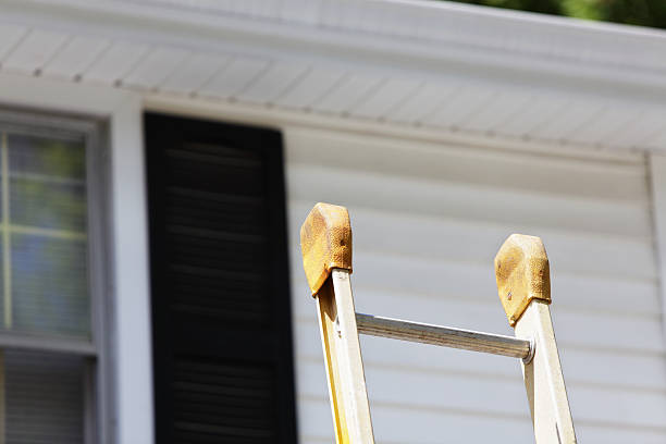 Best Aluminum Siding Installation  in East Tawas, MI