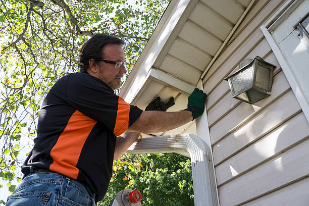 Best Custom Trim and Detailing for Siding  in East Tawas, MI